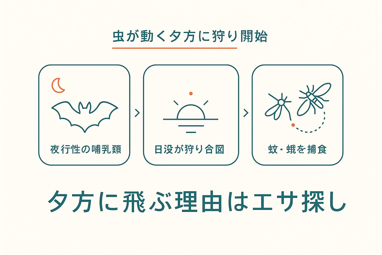 夕方にコウモリが飛ぶ理由は「エサ探し」