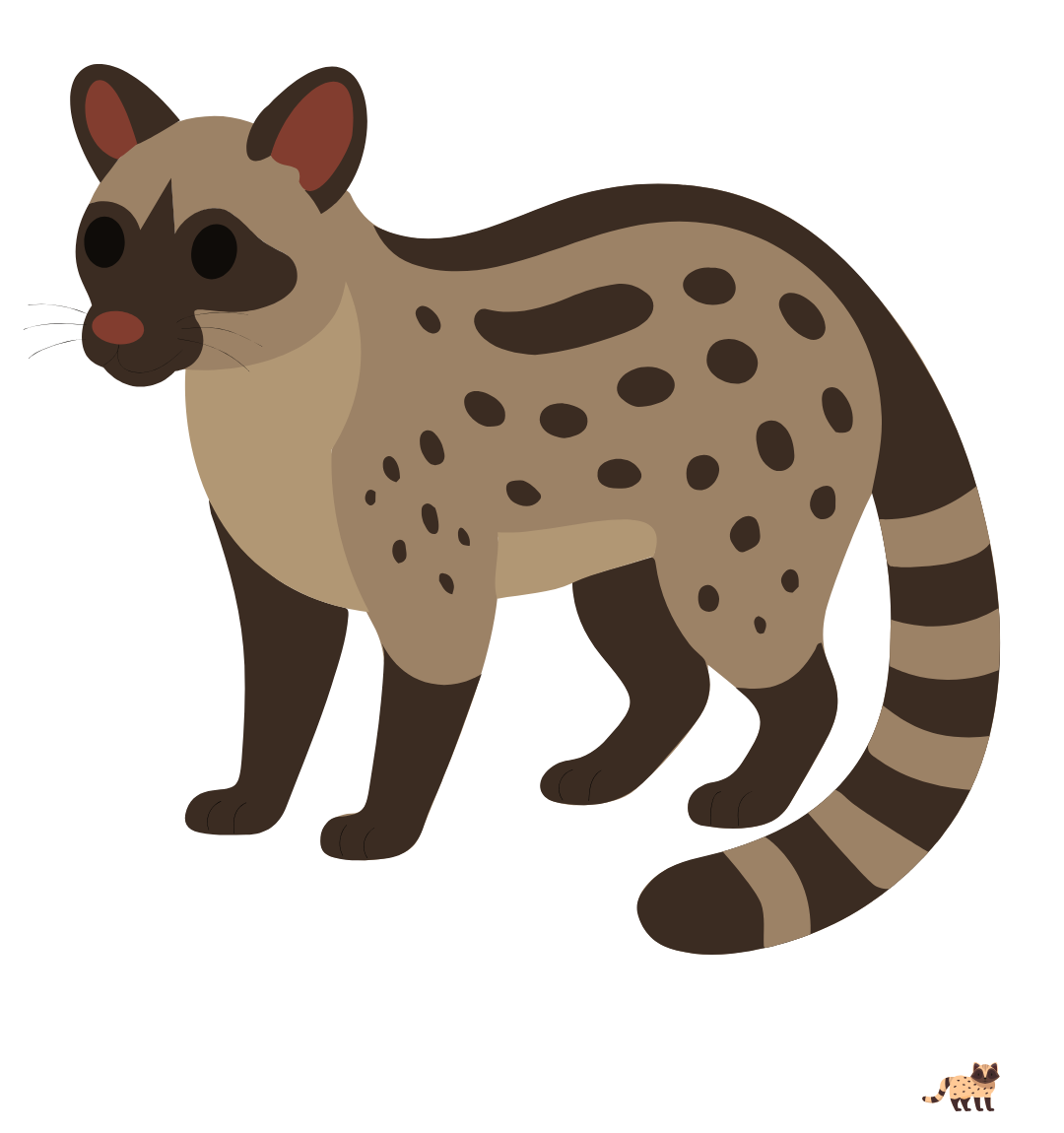 ハクビシンの画像