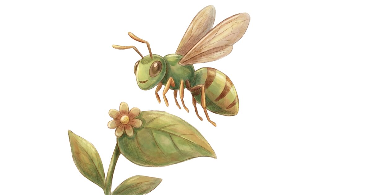 アシナガバチと花の画像