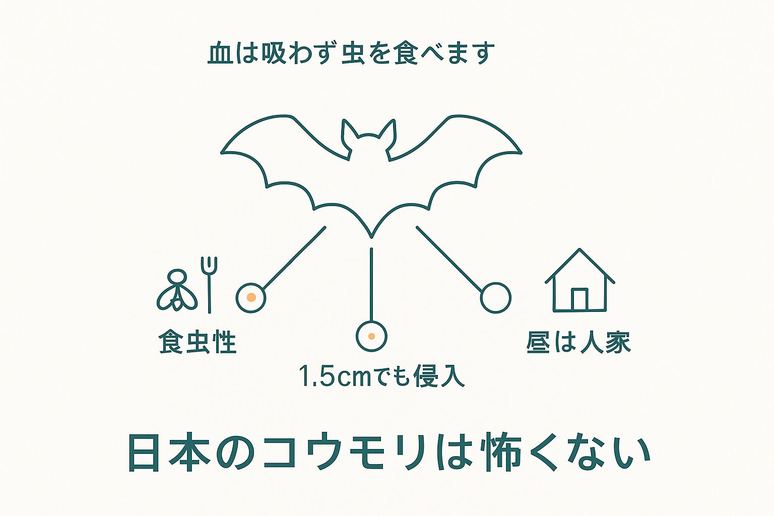 日本のコウモリは怖くない
