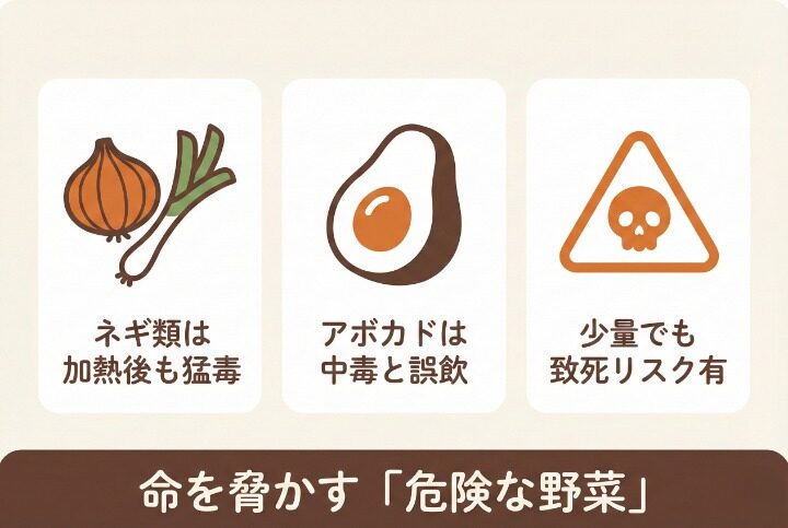 犬が絶対に食べてはいけない野菜リスト