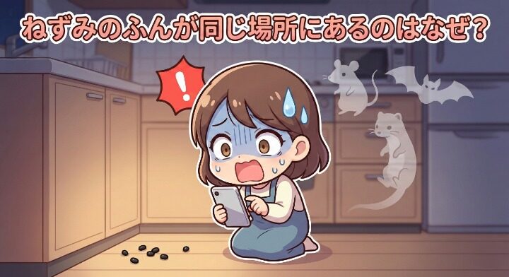 ねずみのふんが同じ場所に！