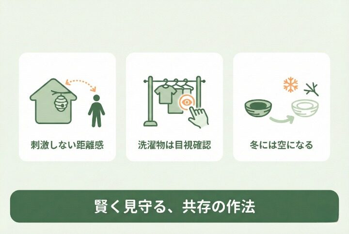 安全に共存するポイント