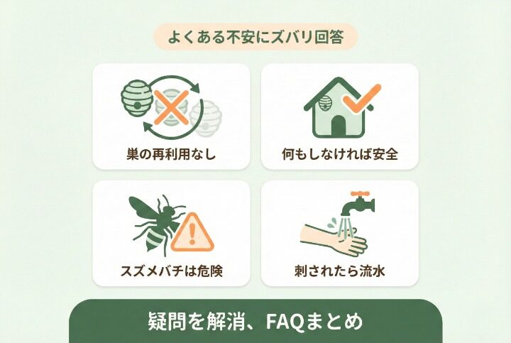 アシナガバチの駆除や習性に関するよくある質問