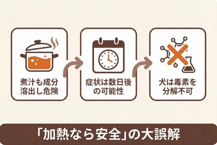加熱すれば安全？野菜中毒の誤解とメカニズム
