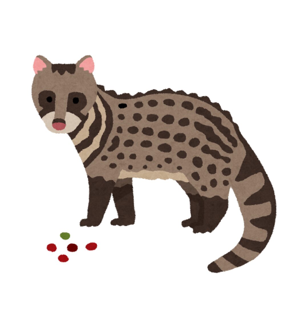 ハクビシンの絵