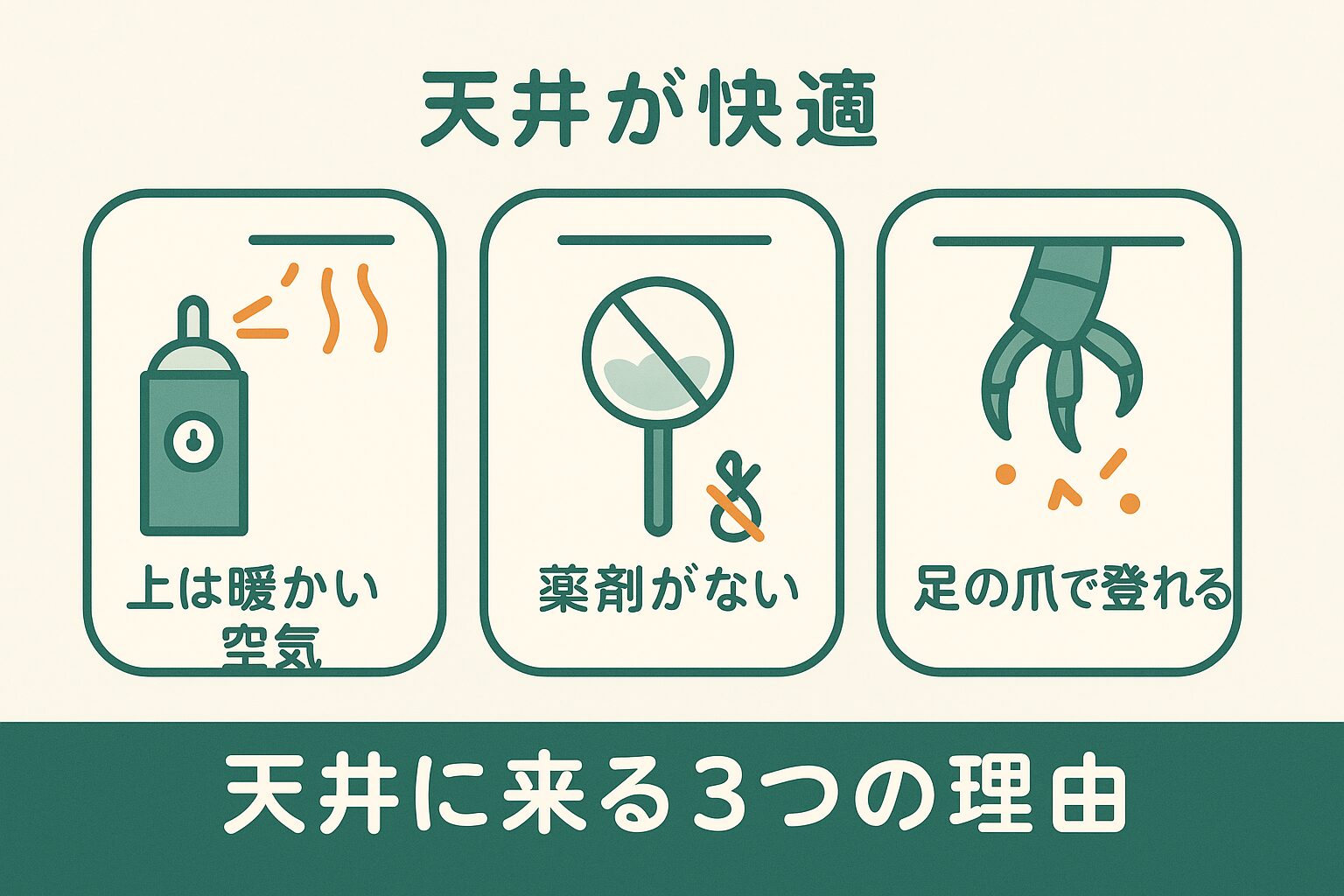 なぜゴキブリは天井にいるの?考えられる3つの原因