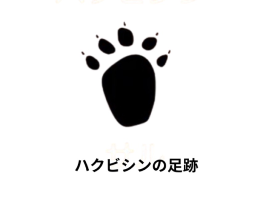 ハクビシンの足跡