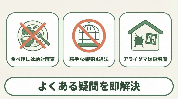 ハクビシンの被害に関するよくある質問