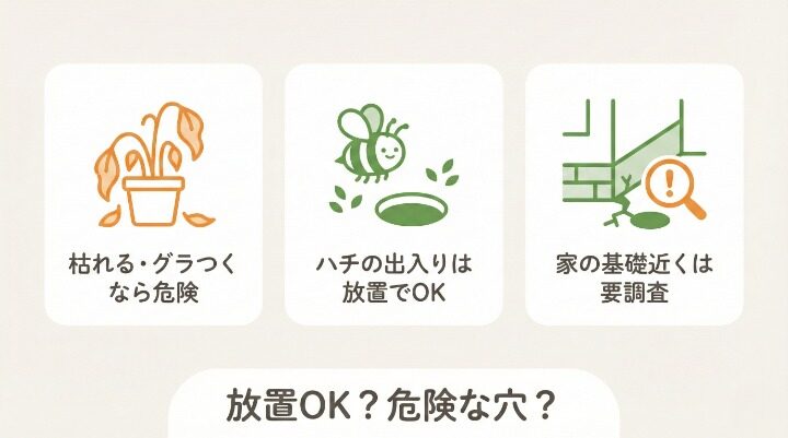 放置しても大丈夫？危険な穴と安全な穴の見分け方
