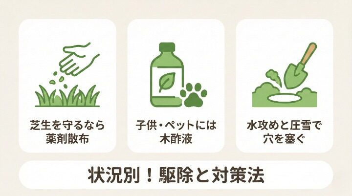 被害を防ぐための具体的な駆除・対策方法