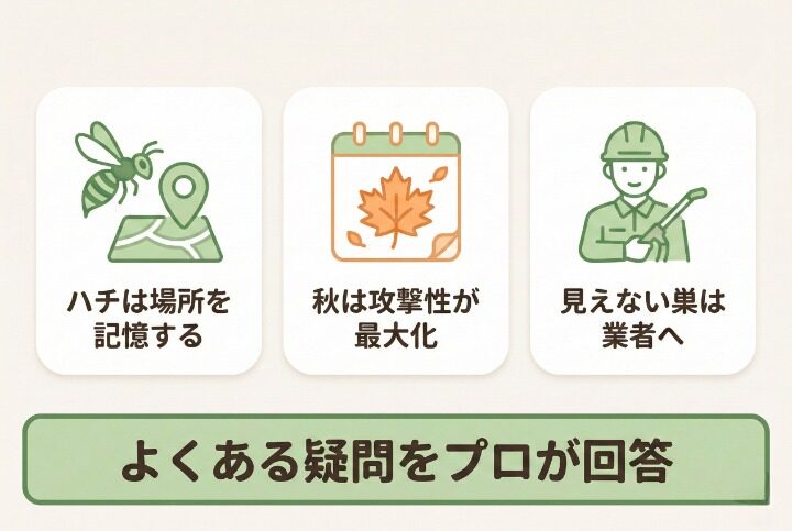 巣がないアシナガバチへのよくある質問