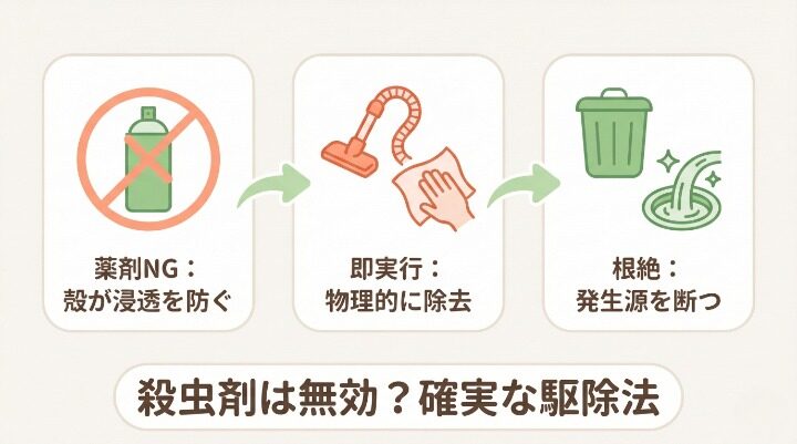 コバエのさなぎを見つけたら即実行！2ステップ駆除法