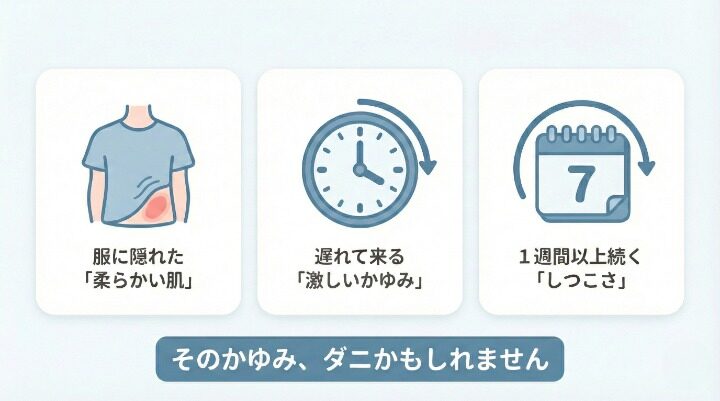 ダニ刺されの症状と皮膚炎の見分け方
