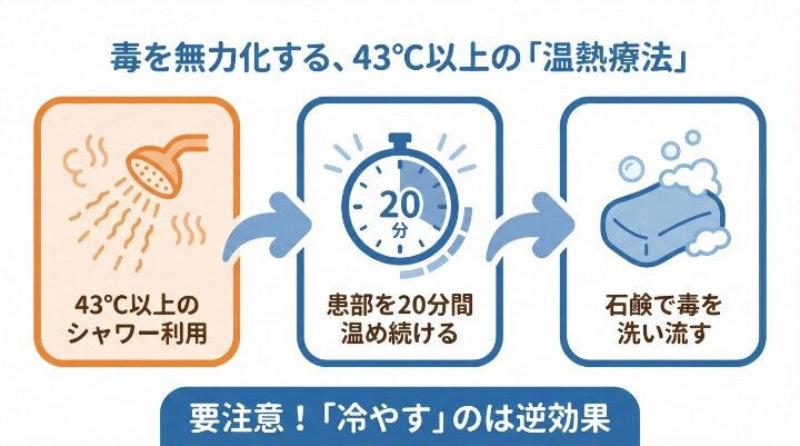 病院に行くまでの応急処置と受診すべき診療科