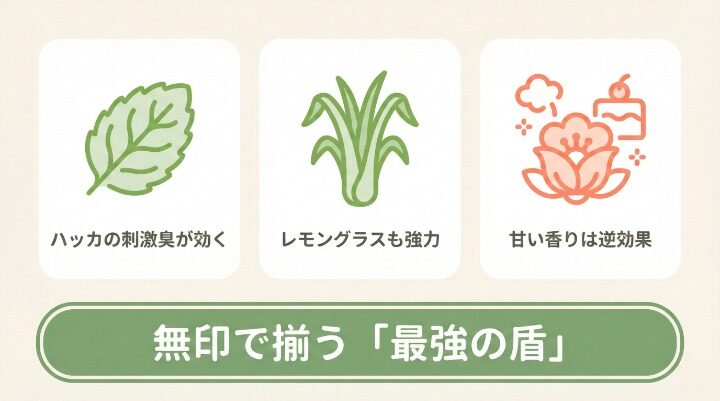 ゴキブリが嫌うアロマは?無印で選ぶおすすめ精油