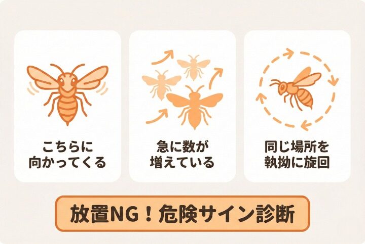 放置は危険？アシナガバチの危険度チェック