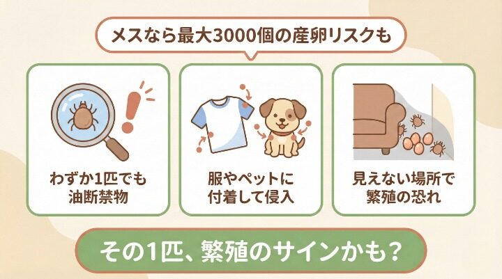 家の中に潜むリスクと侵入経路を確認