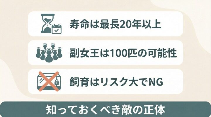 シロアリ女王の駆除に関するよくある質問