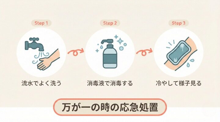 噛まれた時の症状は？慌てずできる3つの応急処置