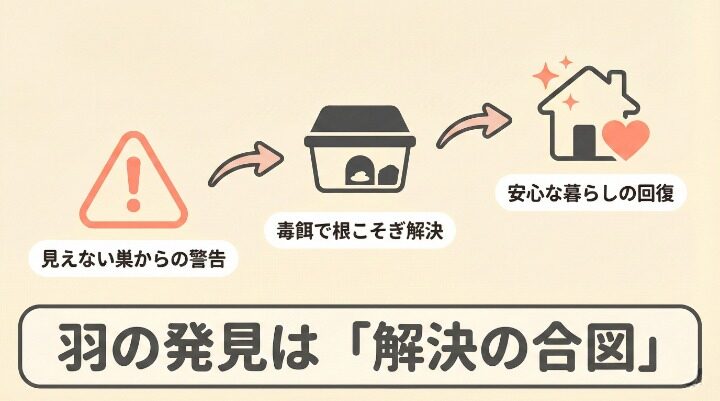 落ちている羽は警告サイン!今すぐ対策を