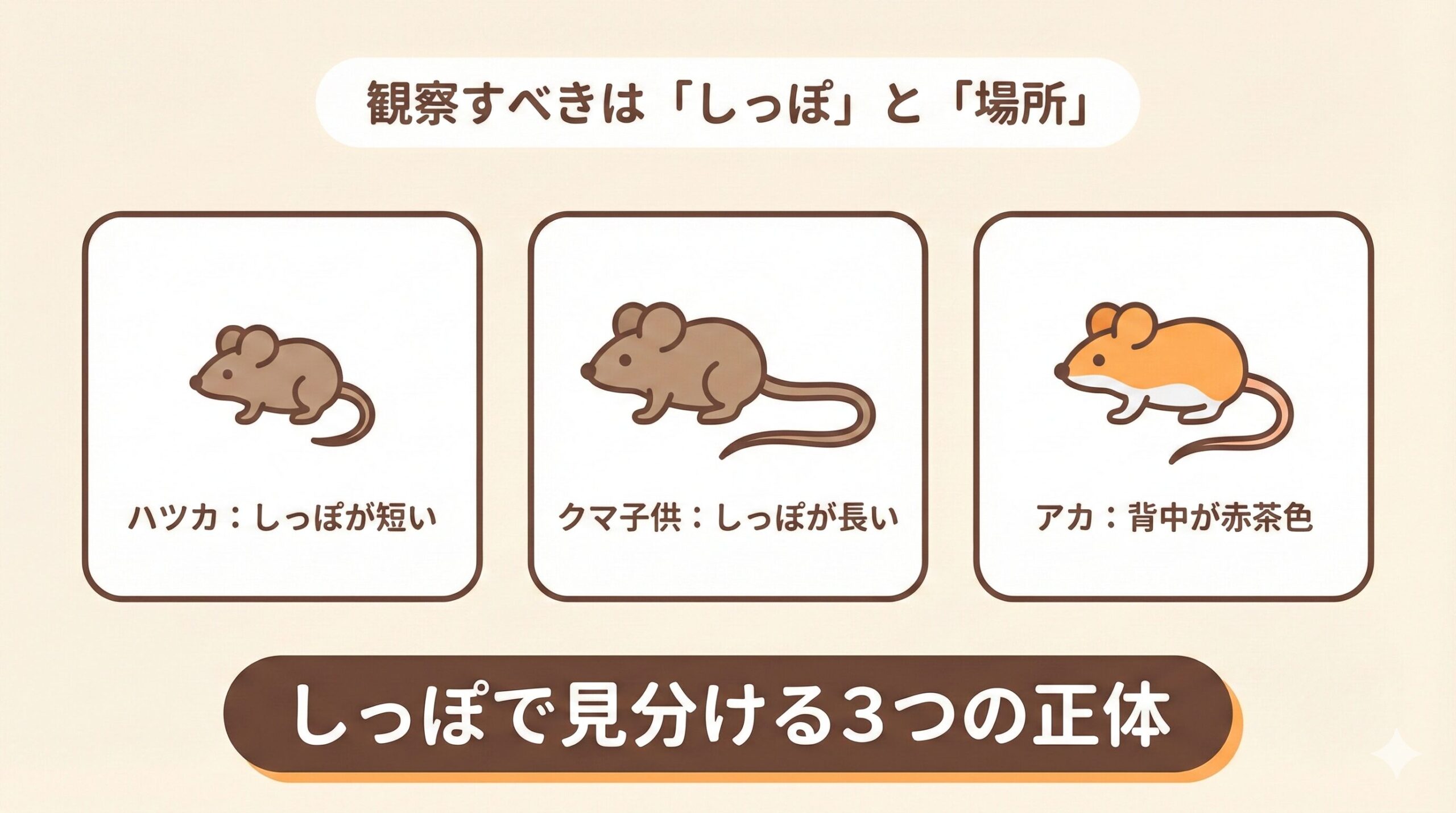 茶色で小さいネズミの正体は?3つの種類と見分け方
