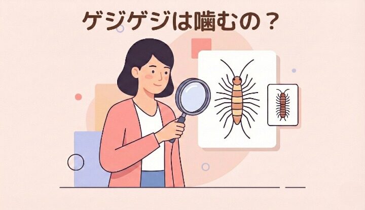 ゲジゲジは噛むの？