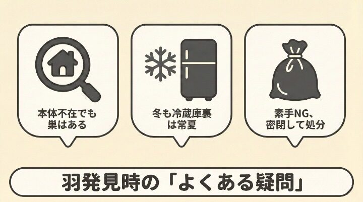 ゴキブリの羽に関するよくある質問