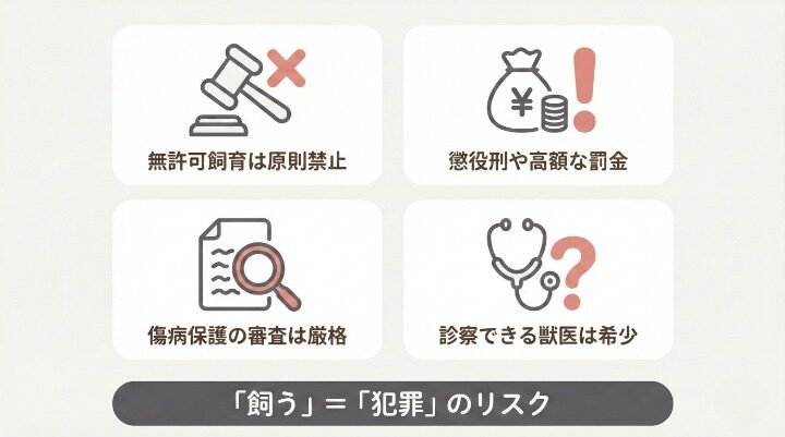 ペット飼育における法的・実務的な高いハードル