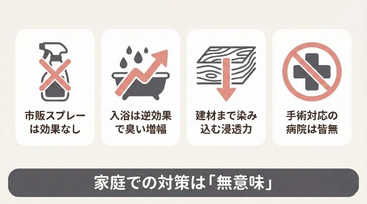 タヌキの臭い対策の限界と現実