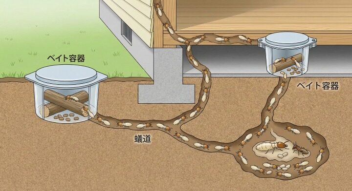 毒餌を巣に持ち帰らせてコロニー全体を崩壊させる仕組み