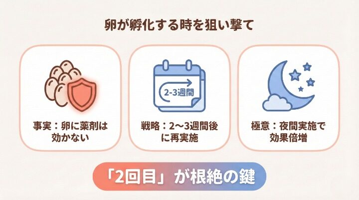 効果を最大化する「2回目」のタイミングとコツ