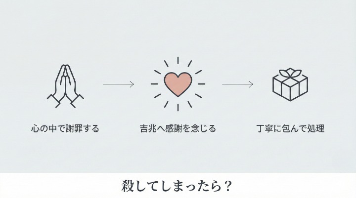 ムカデを殺してしまった！運気を守る対処法