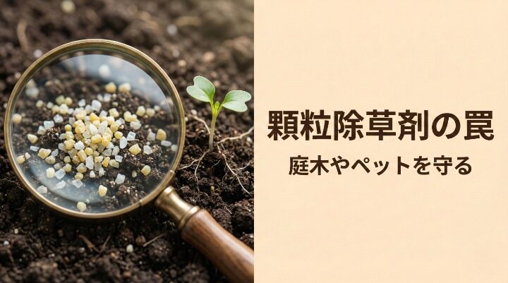 顆粒除草剤の危険性は?