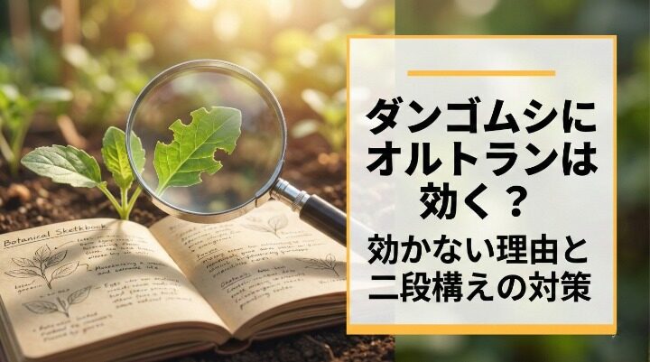 ダンゴムシにオルトランは効く