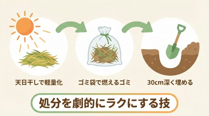 刈った草の正しい処分方法【3ステップ】