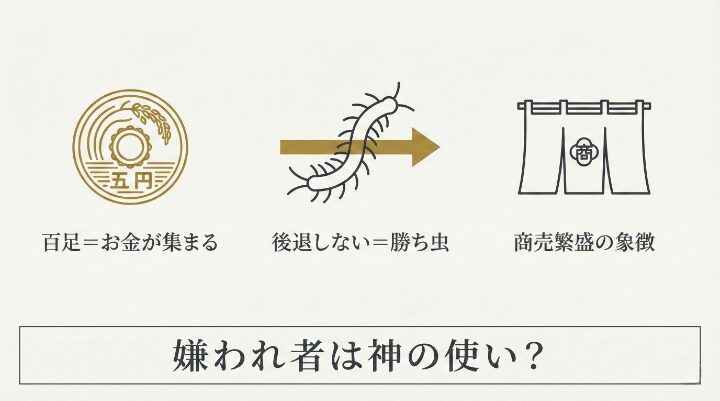 ムカデが現れる意味とは？金運とスピリチュアルな前兆