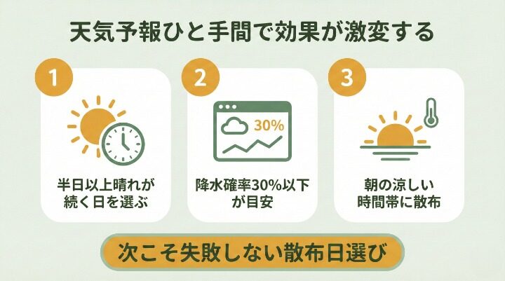 次回は失敗しない!除草剤散布に最適な天候と時期