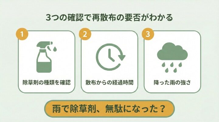 除草剤をまいたあと雨が降っても大丈夫?結論と判断基準