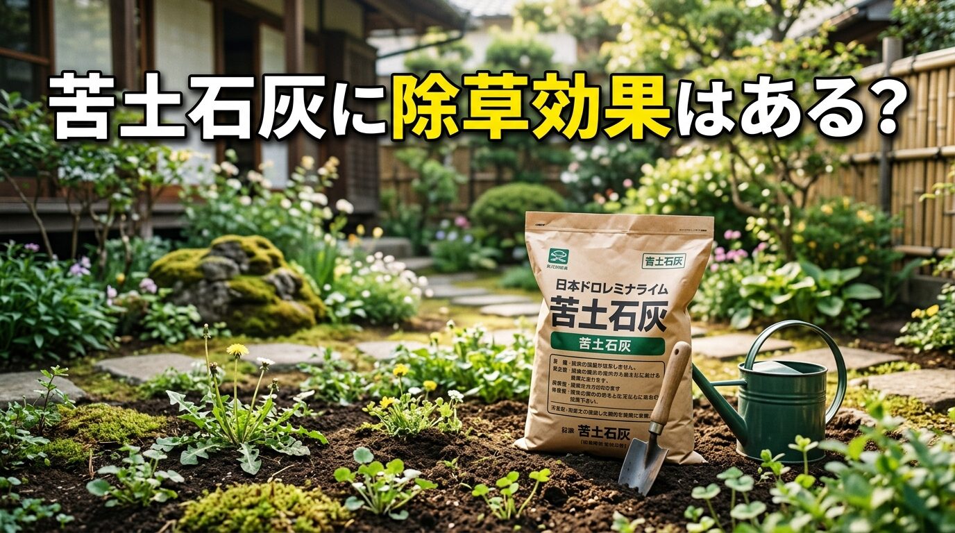 苦土石灰に除草効果はある？