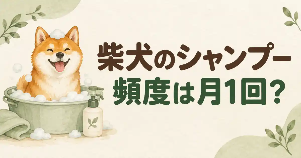 千葉県のシャンプー頻度は月一回?