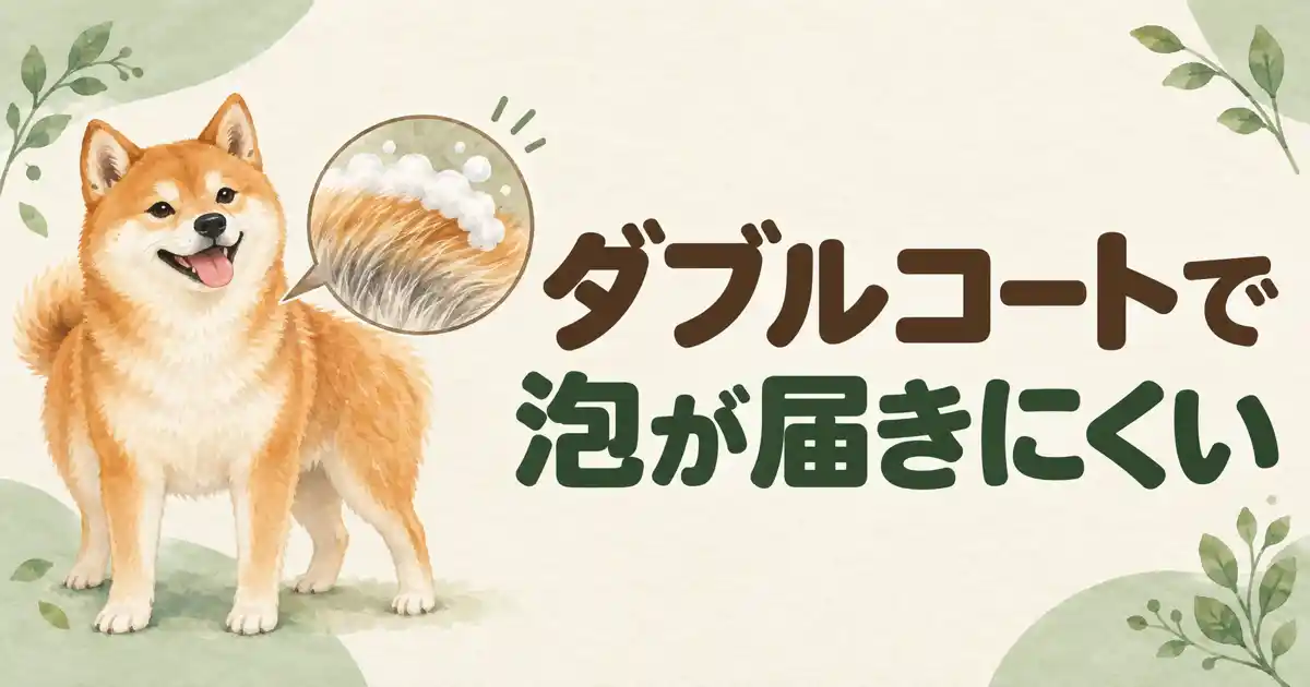 柴犬のシャンプー頻度がぶれるのはダブルコートが理由