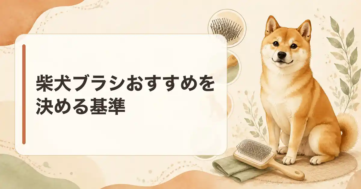 柴犬ブラシおすすめを決める基準