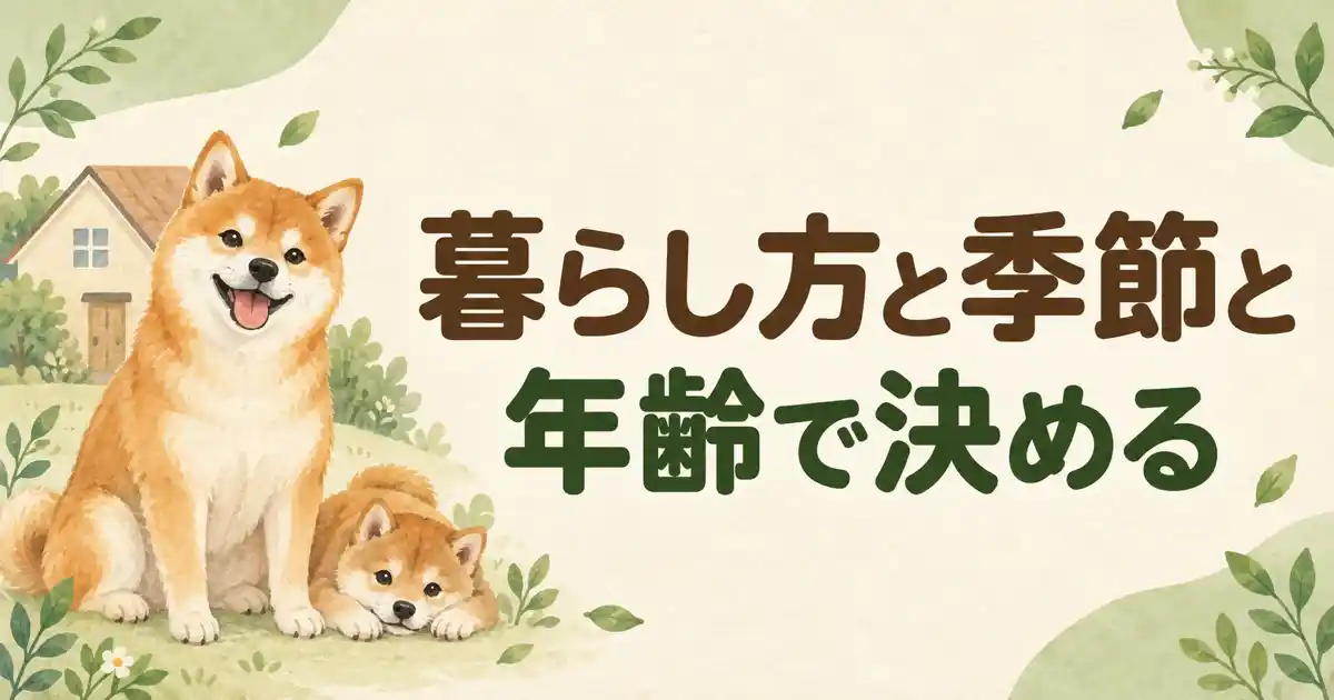 柴犬のシャンプー頻度は暮らし方と季節と年齢で決める