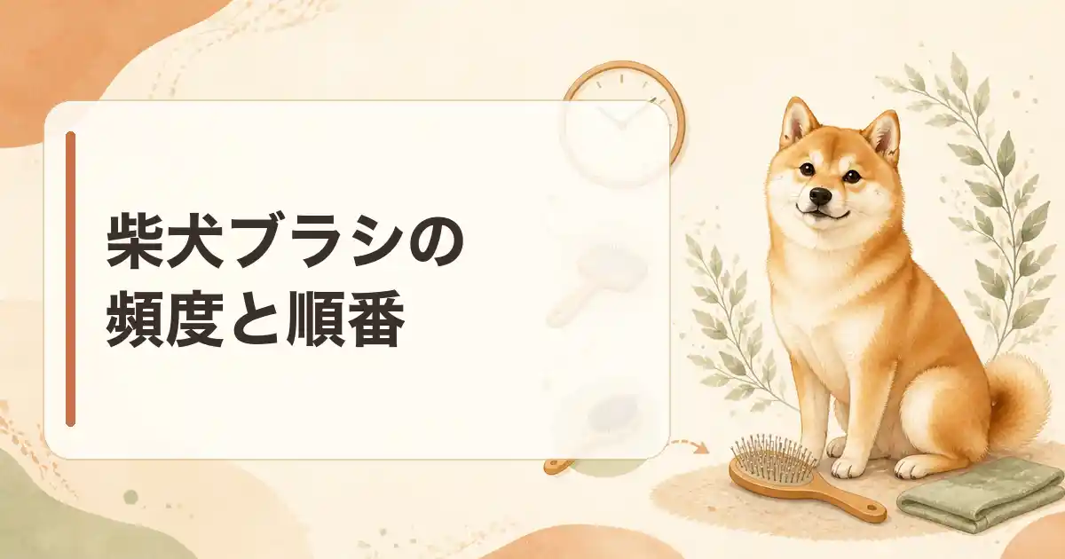 柴犬ブラシの頻度と順番