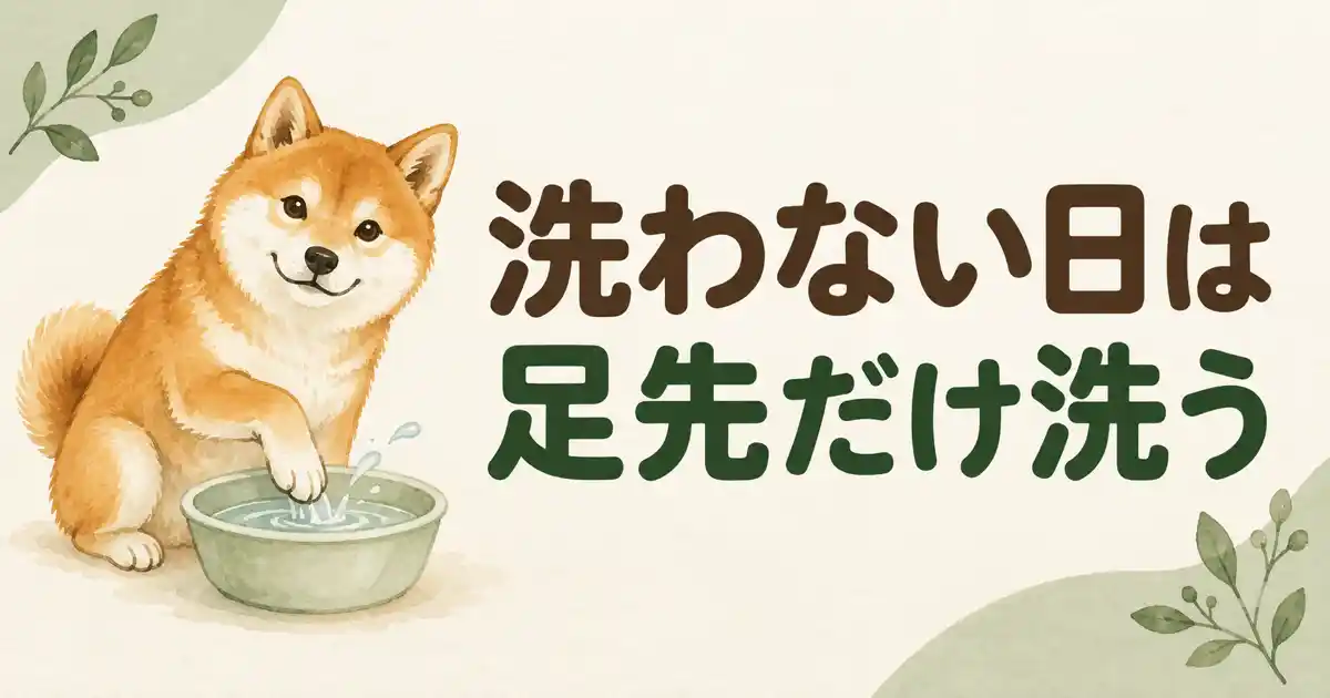 柴犬のシャンプーをしないとどうなる?頻度を下げる日のケア