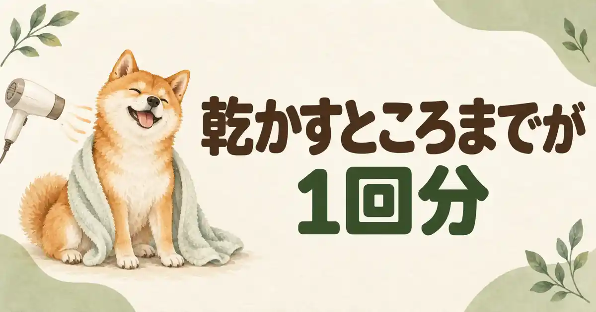 乾かすところまでが柴犬のシャンプー1回分