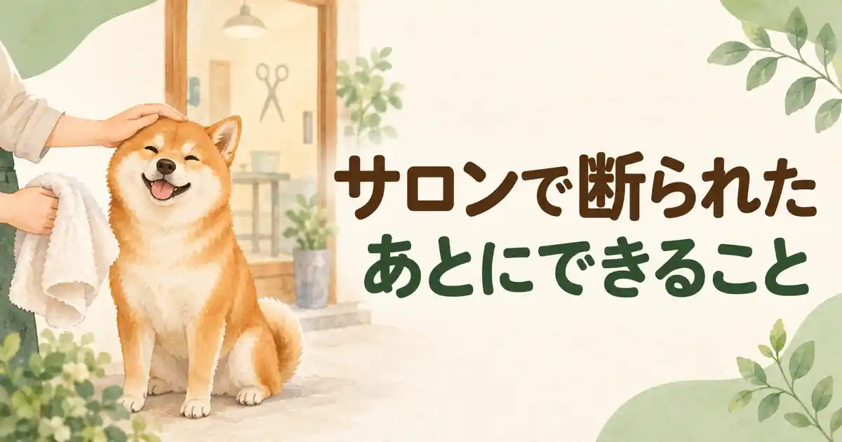柴犬のシャンプーをサロンで断られたあとにできること