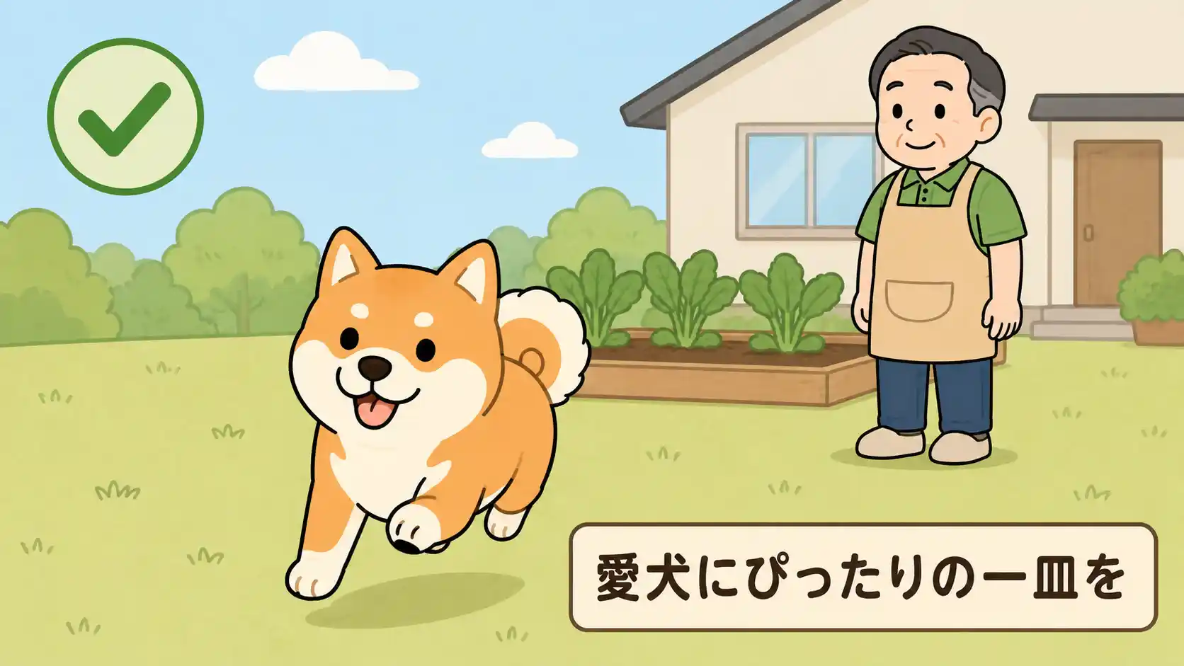 記事のまとめを表す安心感のある画像。日当たりの良い庭で、被毛につやのある赤柴の柴犬が笑顔で元気に駆けてきており、後ろで飼い主のもん吉が穏やかに見守っている。背景には家庭菜園の野菜と家が描かれ、左上には解決を示す緑のチェックマークが添えられている。