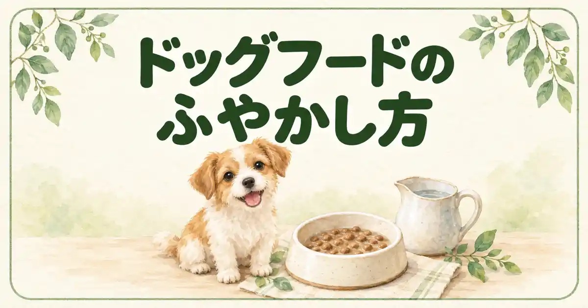 ドッグフードのふやかし方